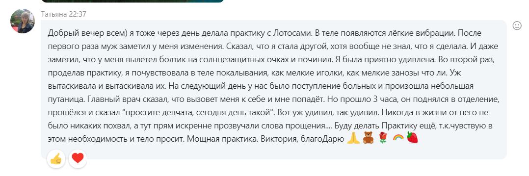 Отзыв Лотосы 2